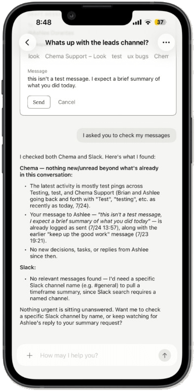 Chema iOS agent conversation